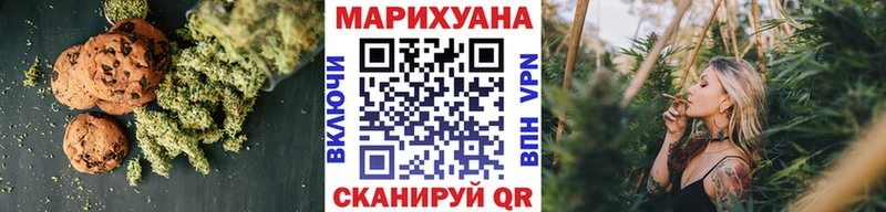 Купить закладки  Киржач  Canna-Cookies конопля 