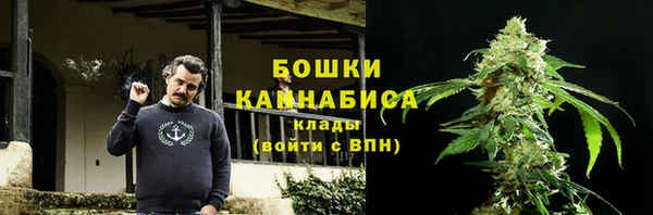 молекула духа Волоколамск