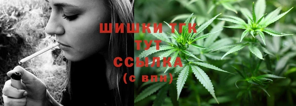 молекула духа Волоколамск