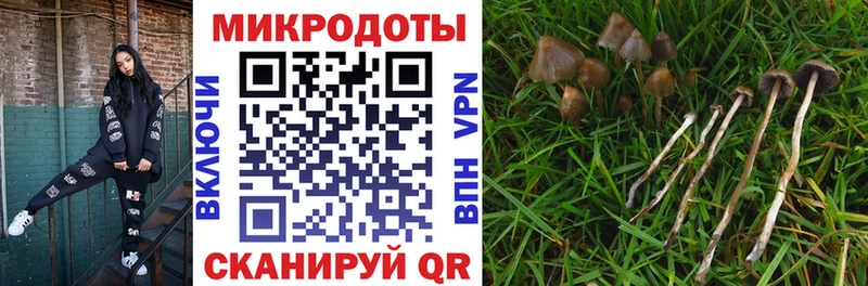 Купить  Киржач  Галлюциногенные грибы прущие грибы 